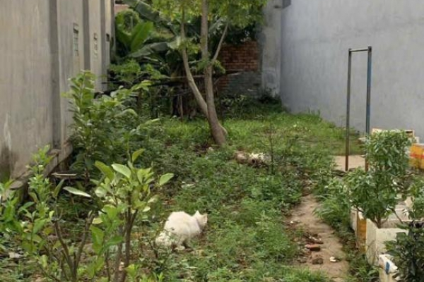 một lô duy nhất hẻm 02 nguyễn an ninh